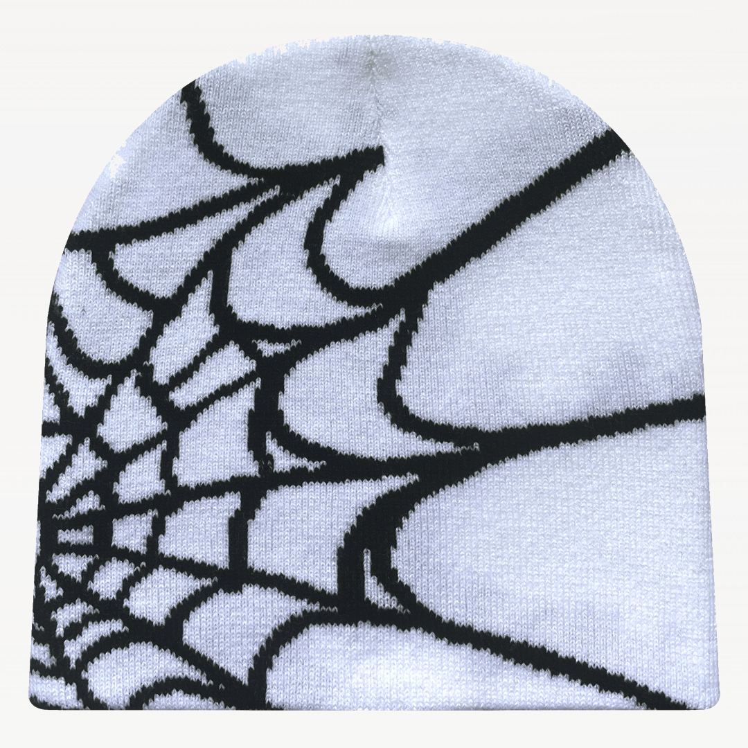 Spider Net Beanie